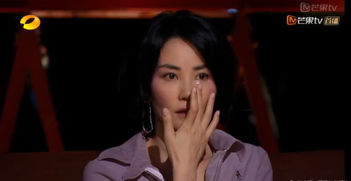 中餐厅9收官，白鹿刘宇宁等演员热度飙升