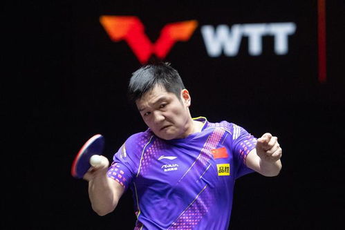 樊振东爆冷0比3不敌徐瑛彬，乒超赛场意外引热议