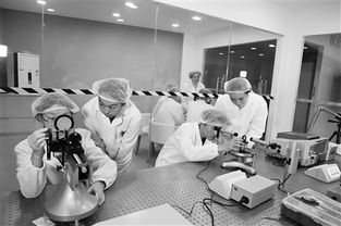 观澜中学学生在现代化实验室中进行实验