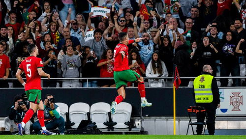 葡萄牙对阵苏格兰比赛现场