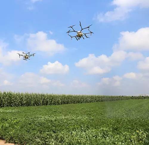 植保无人机在农田上空作业
