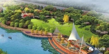 商丘公园湖边场景