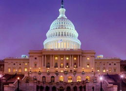 美国白宫夜景图片