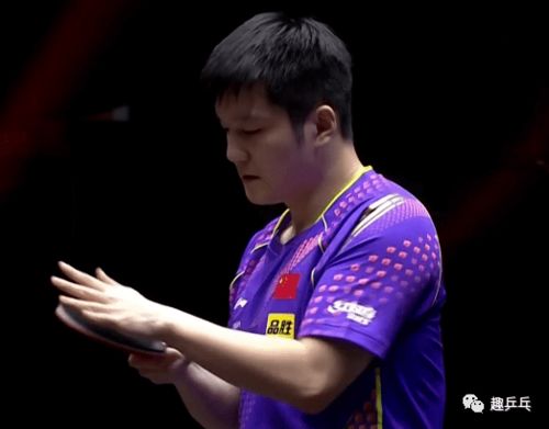 樊振东与徐瑛彬激烈对打瞬间