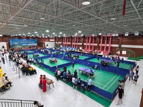 云观赛乒超联赛：跨越四城，14天见证国球巅峰对决