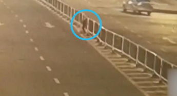 街头防撞护栏示意图