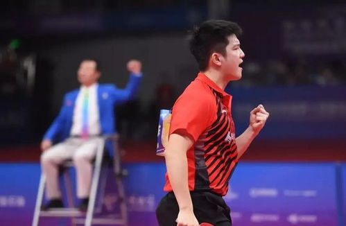 樊振东展示高难度转圈技巧