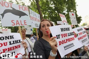 抗议者手持反对移民政策标语