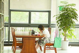 学生在图书馆认真复习