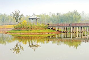 山东滕州河道旁孩子玩耍场景