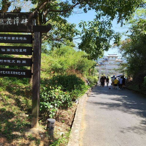 桃花潭游客被打事件细节曝光，真相让人咋舌