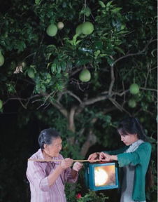 李子柒拍摄非遗技艺