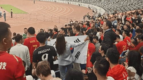 重庆球迷挥舞国旗