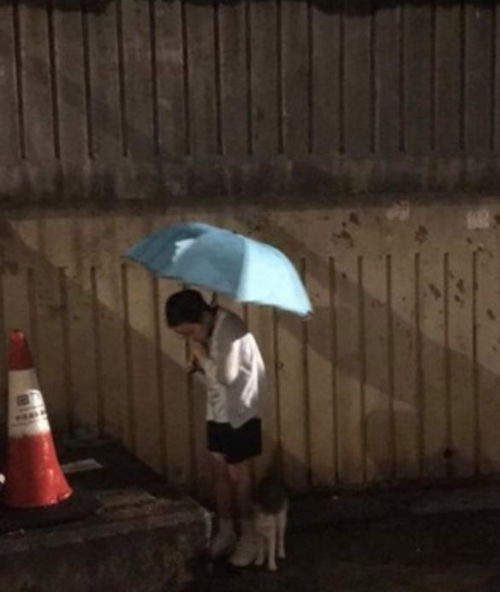 让正能量成为网络空间主旋律：一个普通人的见证与参与