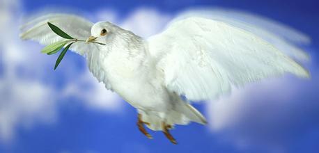 两岸地图与和平鸽象征