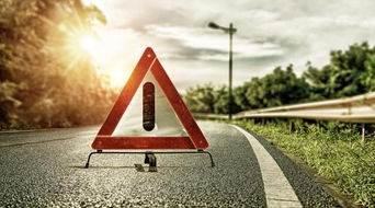 小区设置的驱蛇装置与警示牌