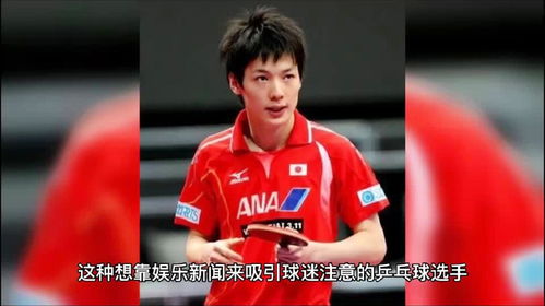 樊振东训练场专注练习