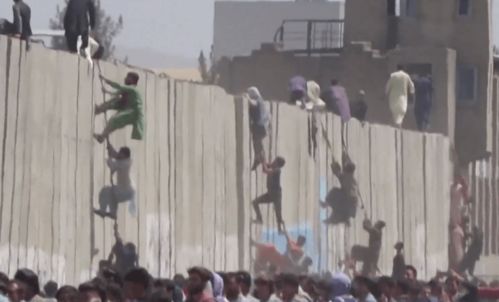 顶流AI人设崩塌，6小时被攻破！高危品泄露指南遭举报，网友集体翻脸