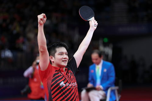 樊振东获胜后庆祝