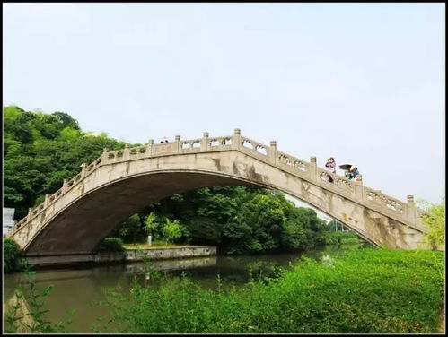 入梅后的绍兴长啥样？一场雨，一幅画