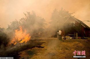 特朗普怒怼加州州长与洛杉矶市长：无能政客连火都灭不了？