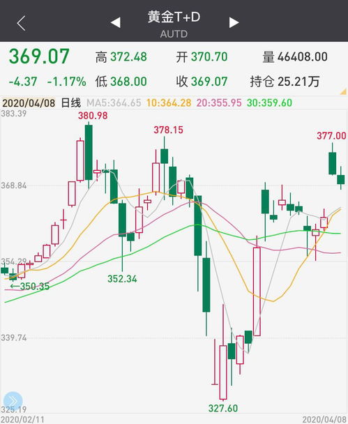 分析师在会议室分析股市走势图