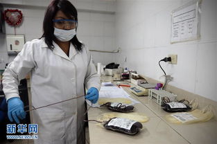 实验室人员正在分析血液样本