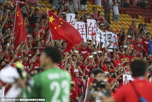 球迷在看台上欢呼庆祝