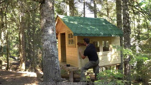 山林中的小木屋