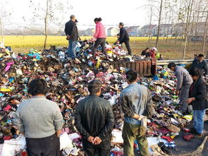 广西瓜田遭哄抢，村民为何集体“下场”？真相让人唏嘘！