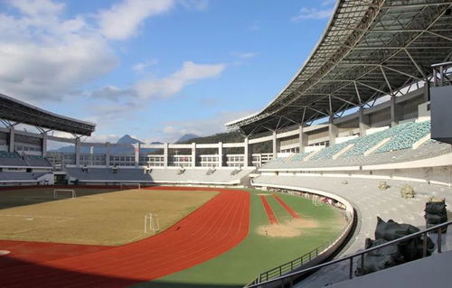 赛事热力值拉满！体育如何成为城市消费新引擎？