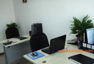 白领盯着电脑屏幕工作