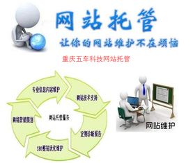 本地代运营公司团队工作场景照片