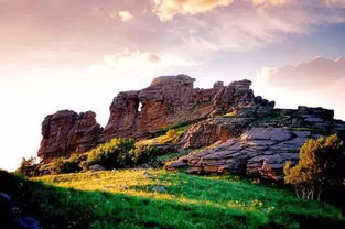 亲历内蒙牛奶湖奇观：排队接奶的游客让我大开眼界