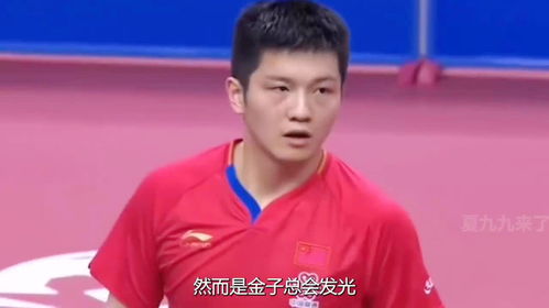 樊振东身穿安踏广告海报