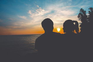 最后的旋律：那首让我泪流满面的歌，竟成了我们的告别曲