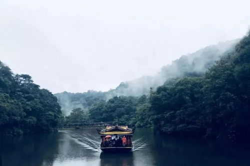 青城山一日游记：幽静山水间，偷得浮生半日闲