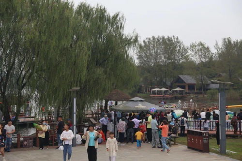 游客排队接牛奶湖水