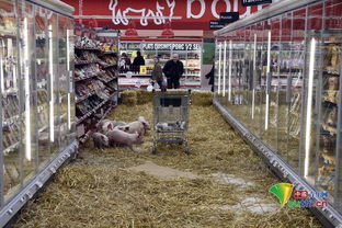 超市生鲜区猪肉销售区域