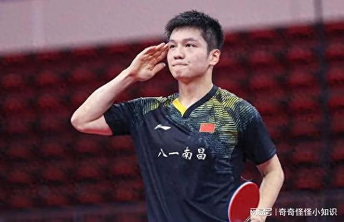 樊振东接受媒体采访