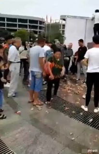 瓜田被抢280亩！广西村民哄抢事件背后，谁在吃“免费的瓜”？