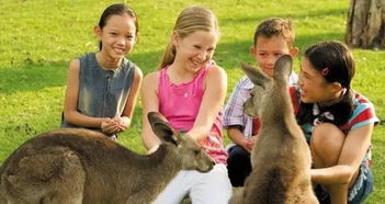 澳洲农场骑马体验