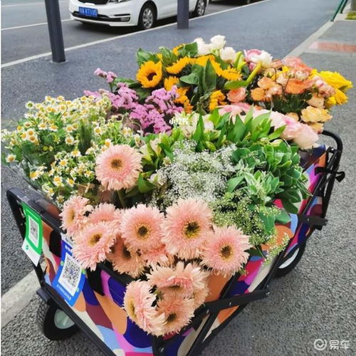 姐姐手持Labubu花束在校门口等待妹妹