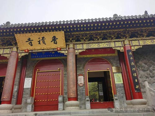 穿越时光的禅意之旅｜香积寺游记，一场心灵的朝圣