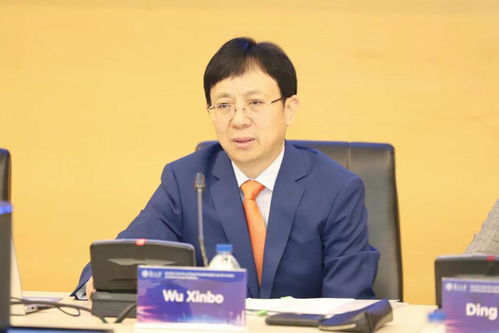 复旦大学教授吴心伯演讲