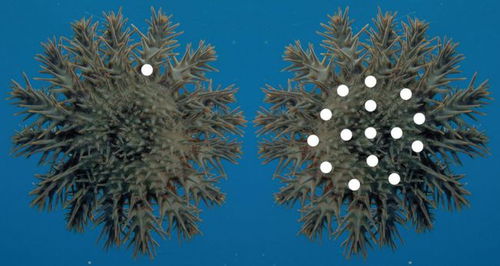 AI与人类数学家共同研究场景