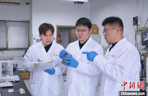 科研团队分析数据