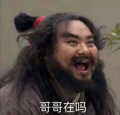 Labubu张飞表情包系列