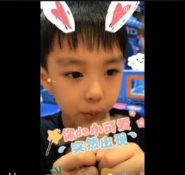 曹颖儿子小学毕业照