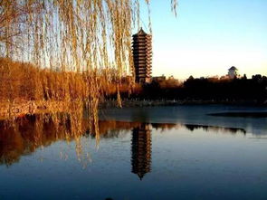 北大回应未名湖湖水被卖，网友热议：文化保护还是商业噱头？